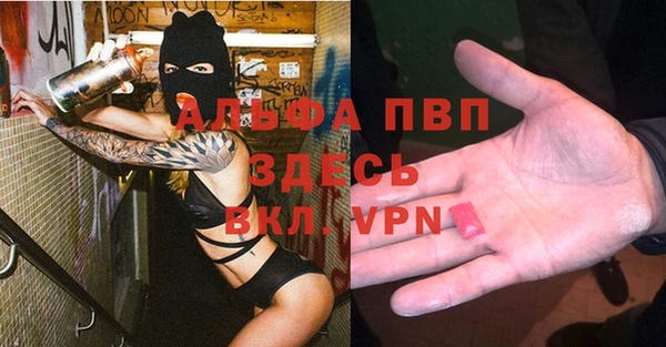 скорость Белокуриха