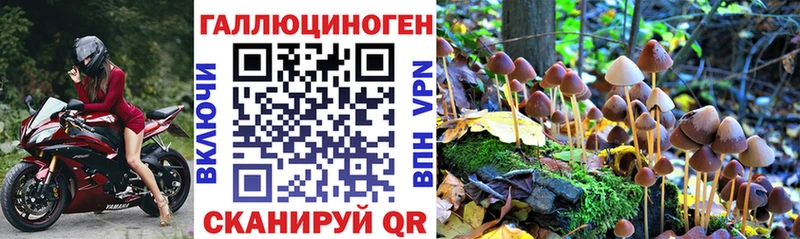 Псилоцибиновые грибы ЛСД  купить наркотик  Ахтырский 